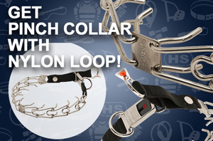 Pinch Dog Collar