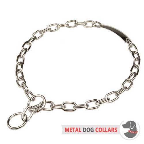 Chrome Plated Choke Dog Collar with Name Plate