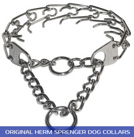 Small  Collars on Determing The Best Small Dog Training Collar   Dog Training Collars