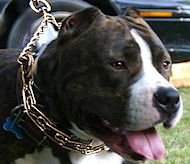 Curogan dog prong collar - Herm Sprenger 50004 (3.25mm) Curogan dog prong collar - Herm Sprenger 50004 (3.25mm)
