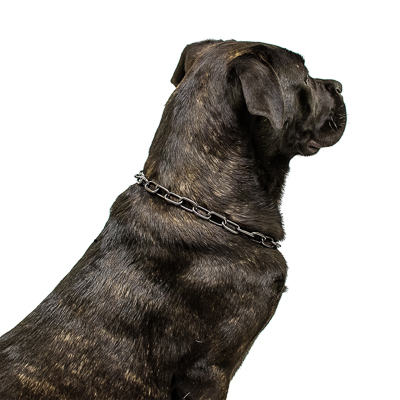 Black Stainless Steel Medium Sized Link Chain Collar - 3.0mm