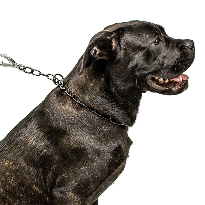 Black Stainless Steel Medium Sized Link Chain Collar - 3.0mm