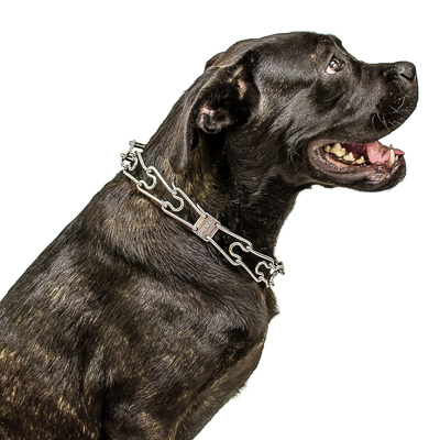 Chrome Plated Prong Collar with Swivel and Quick Release Snap Hook (3.25mm x 23 in) Herm Sprenger