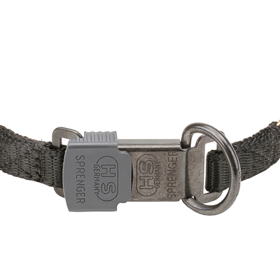 Curogan Pinch Prong Collar with Center-Plate and  Click Lock Buckle (2.25mm x 16 inches)