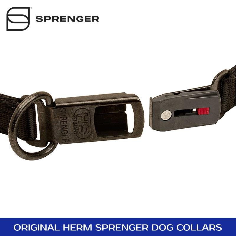 Curogan Neck Tech SPORT Dog Prong Collar with a Click-Lock Buckle (ClicLock)- 19 inches (48 cm) long