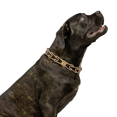 Curogan Pinch Prong Collar with Center-Plate and Assembly Chain (3.25mm x 23 inches)