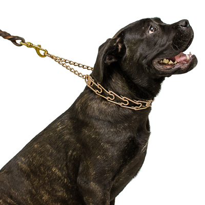 Curogan Pinch Prong Collar with Center-Plate and Assembly Chain (3.25mm x 23 inches)