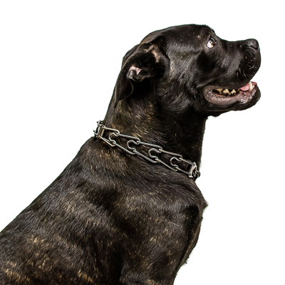 Black Stainless Steel Prong Collar with Center-Plate and Assembly Chain (3.25mm x 23 inches)