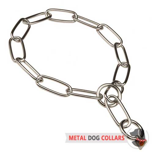 Why Does Dog Like Collar Why Does Dog Like Collar