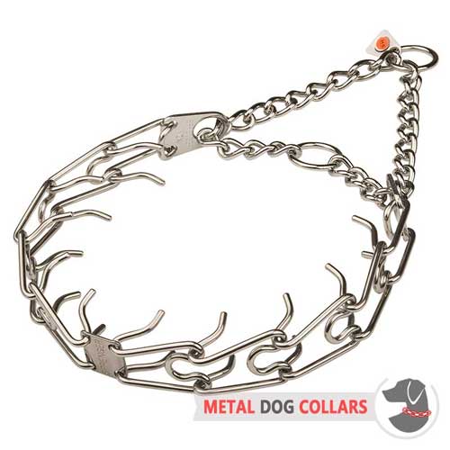 Durable stainless steel pinch dog collar