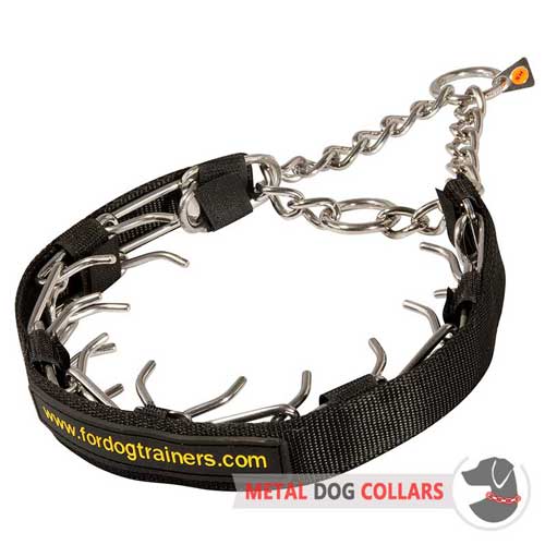 Pinch dog collar with with nylon removable protector