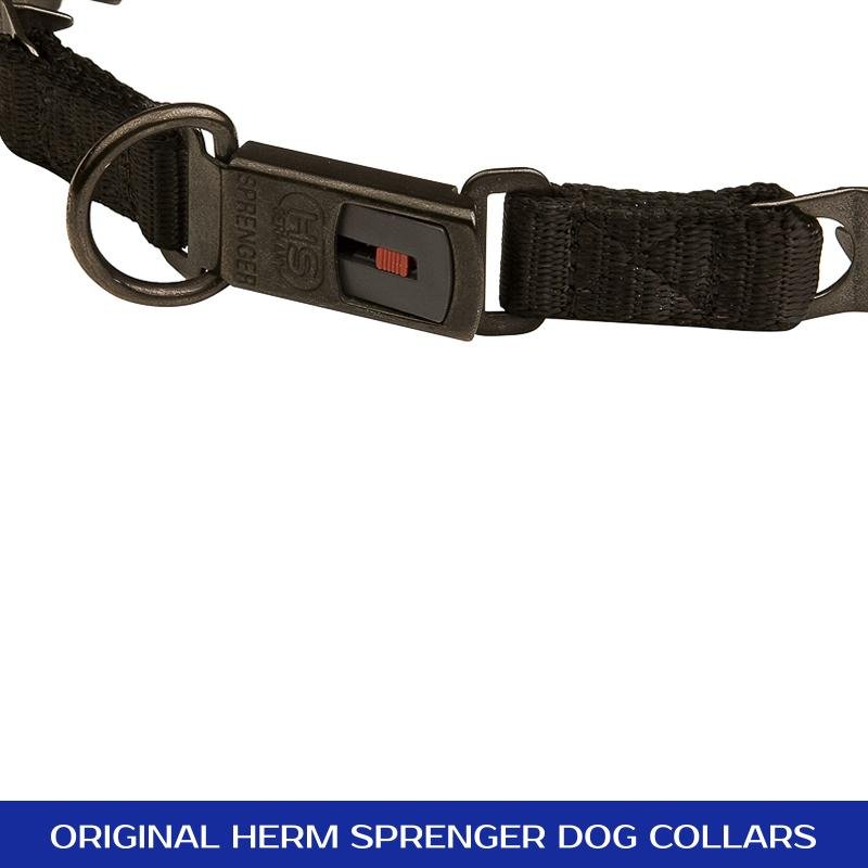 Black Stainless Steel Neck Tech SPORT Dog Prong Collar with a Click-Lock (ClicLock) Buckle - 19 inches (48 cm) long