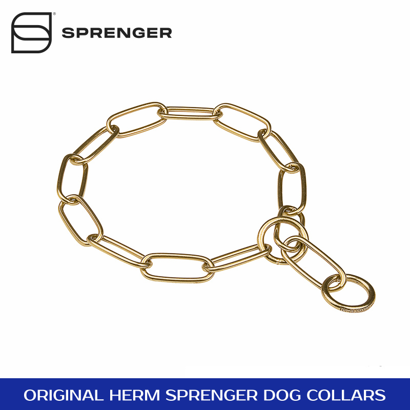 flat link chain dog collar