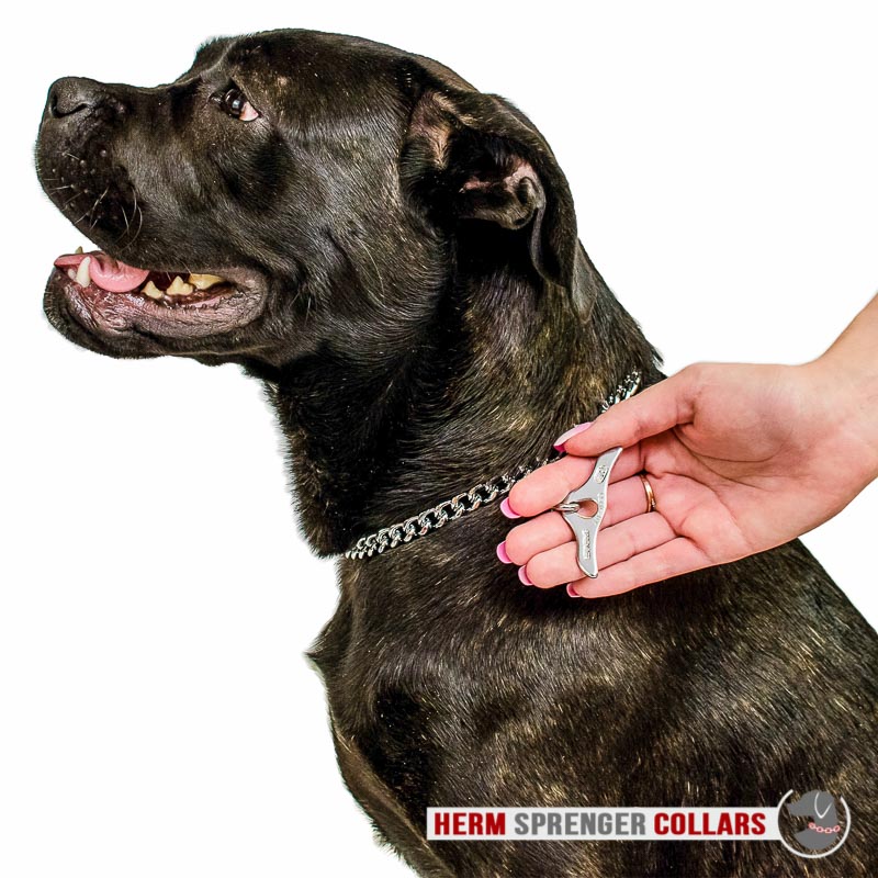 Chrome Plated Short Link Chain Collar with Flat Chain and Toggle - 3.0 mm 51025 (02) Collar with Toggle - 3 mm] : Prong Collars, Pinch Collars, Dog Training Collars,