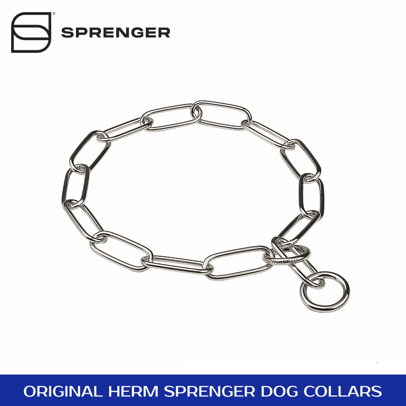 dog chain collar