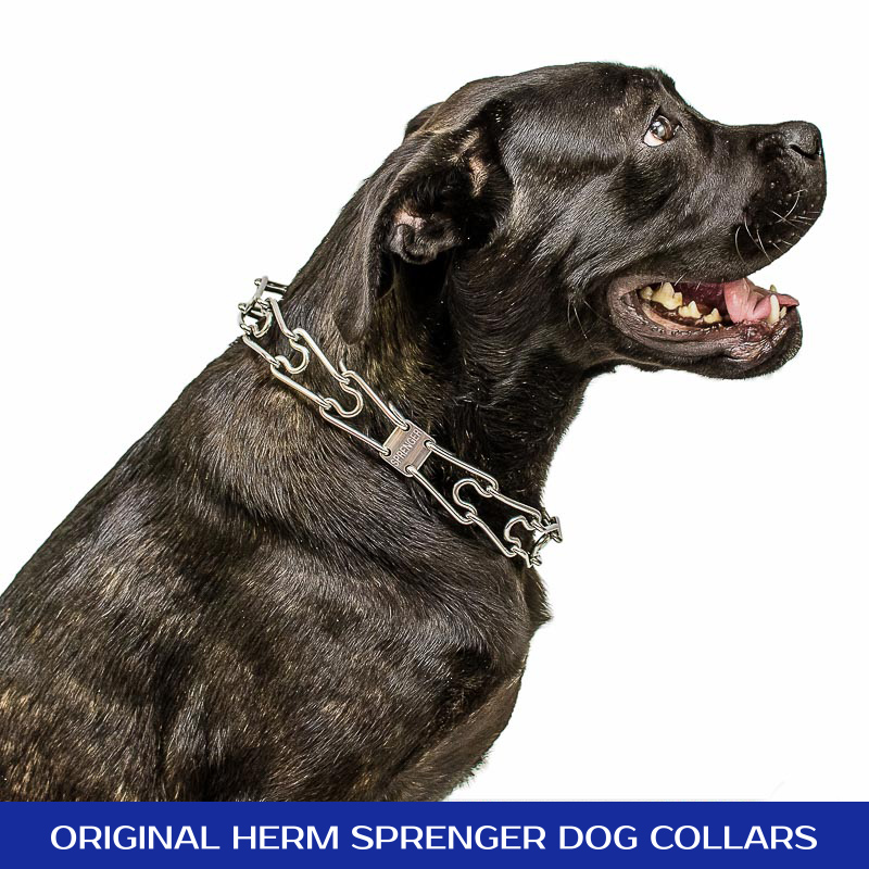 Herm Sprenger Prong Collar Size Chart