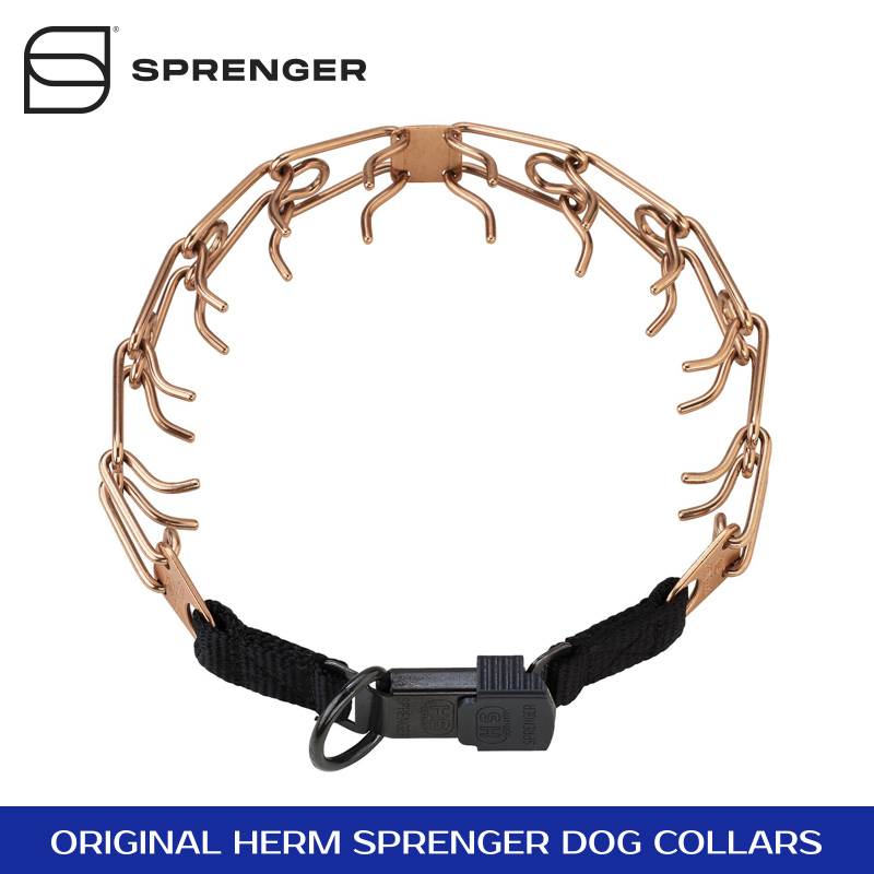 Curogan Pinch Prong Collar with Center-Plate and Click-Lock Buckle