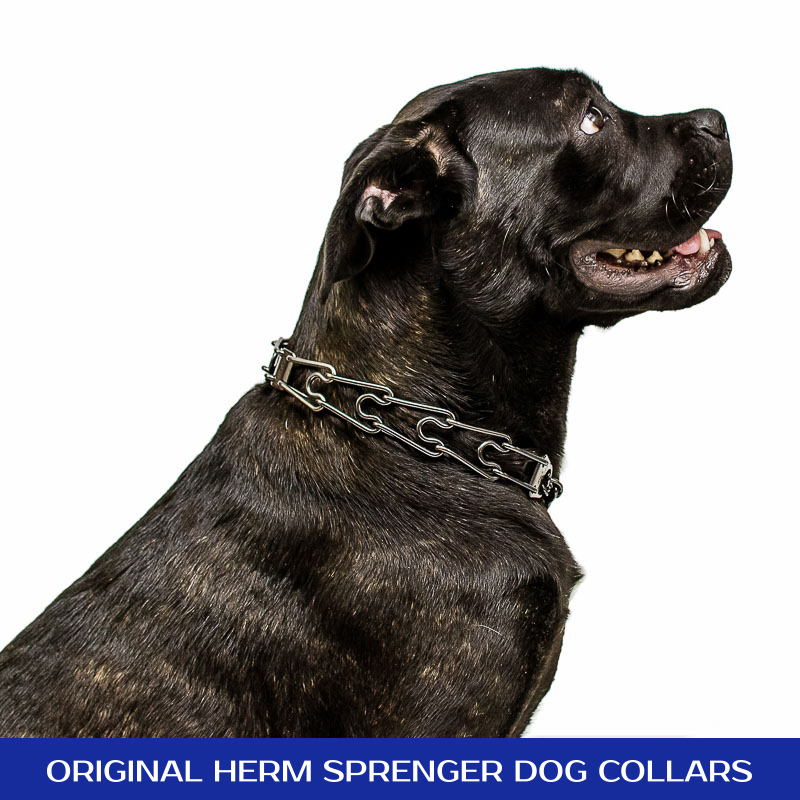 Black Stainless Steel Prong Collar with Center-Plate and Assembly Chain (3.2 mm x 23 inches)