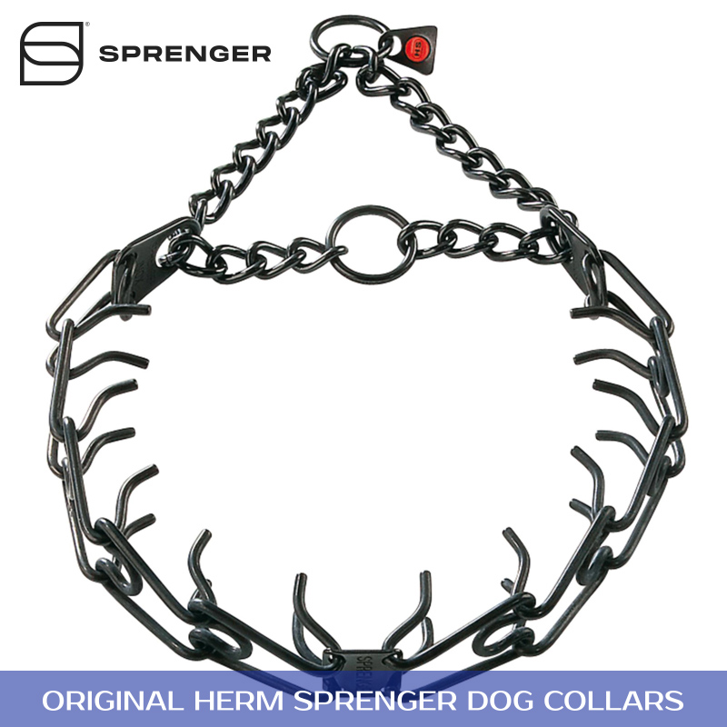 Black Stainless Steel Prong Collar with Center-Plate and Assembly