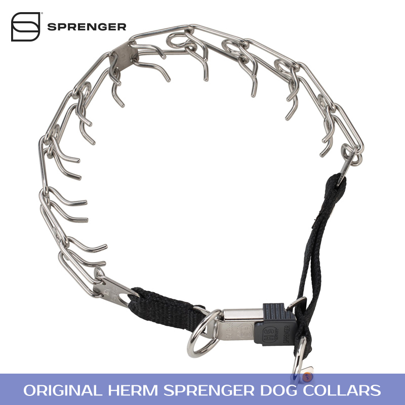 prong collar for dogs