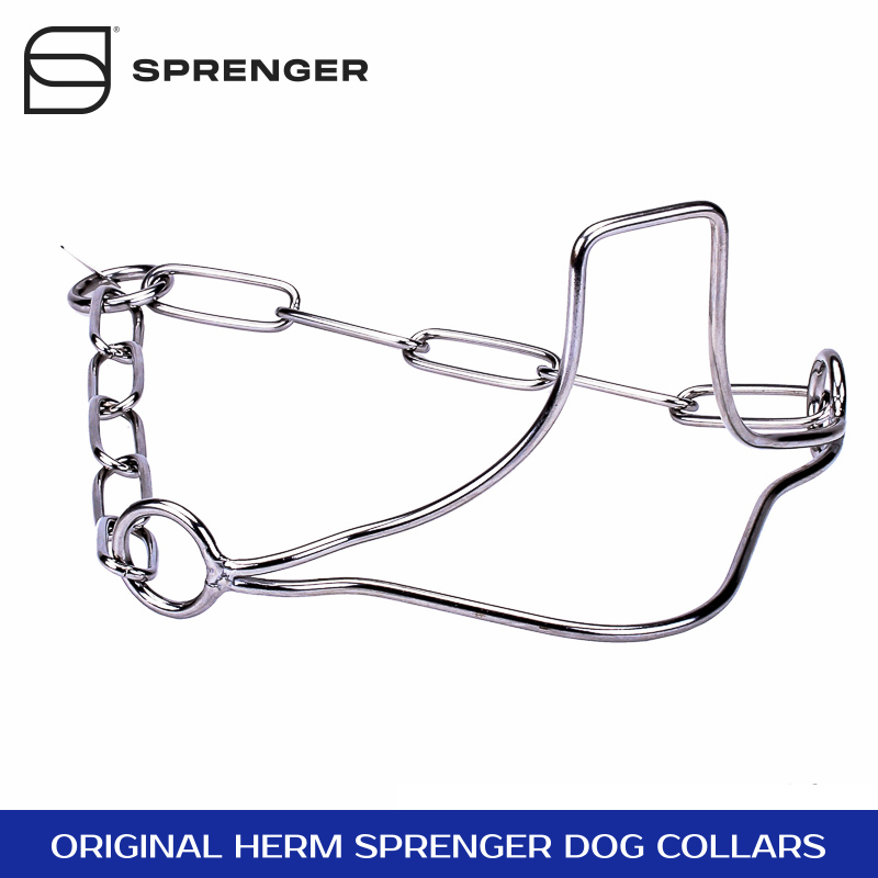 Dog show collars 2025