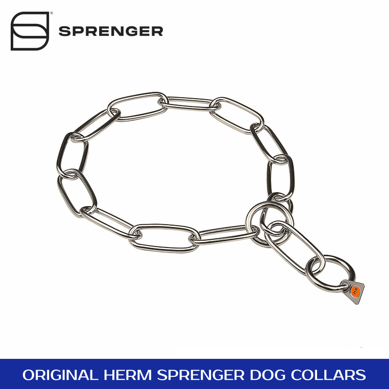 dog collar and chain