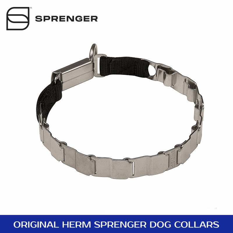 steel dog collar