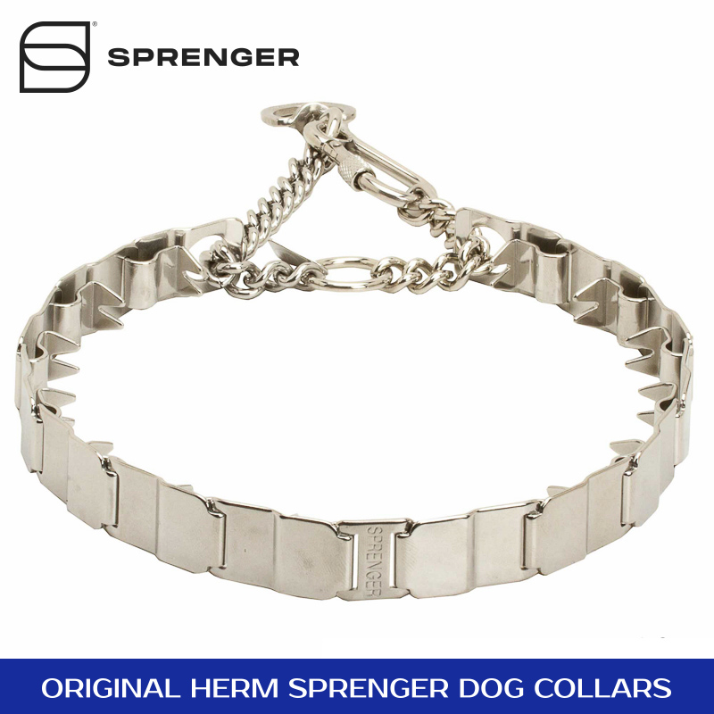 herm sprenger martingale dog collar