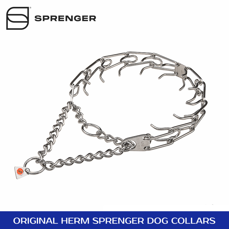 pinch collar for dogs