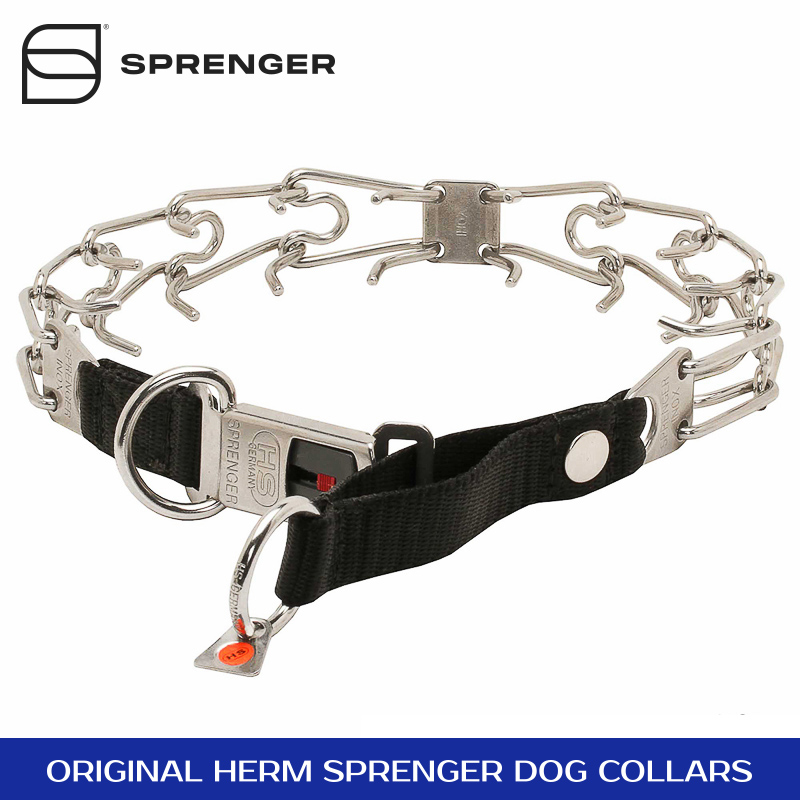 Taming Loop Stainless Steel Dog Pinch Collar with ClickLock Buckle and