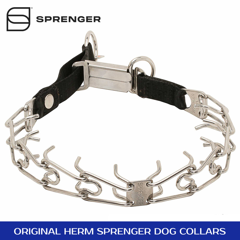 Taming Loop Stainless Steel Dog Pinch Collar with ClickLock Buckle and