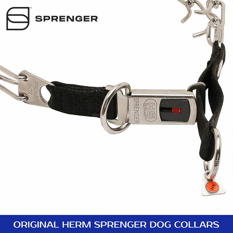 Taming Loop Stainless Steel Dog Pinch Collar with ClickLock Buckle and
