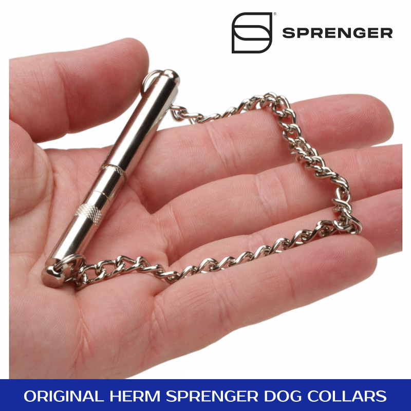 Disciplinable Ultrasonic Dog Whistle for Effective Obedience Training