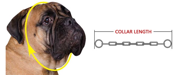 how to measure collar