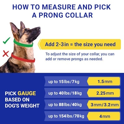 hs collars measurements prongs