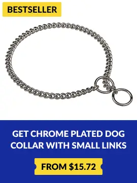 get chrome plated dog collar with small links