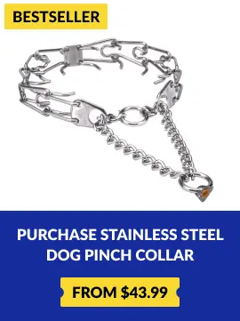 purchase stainless steel dog pinch collar